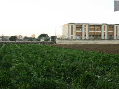 ...affiancati da un edificio in cemento dalle linee squadrate che cozza con lo scenario circostante